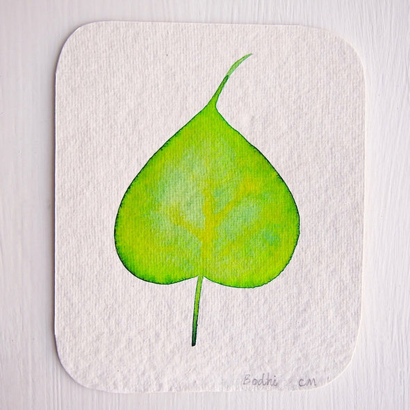 Original watercolour plant leaf paintings