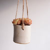 Handmade pottery hanging oatmeal planter