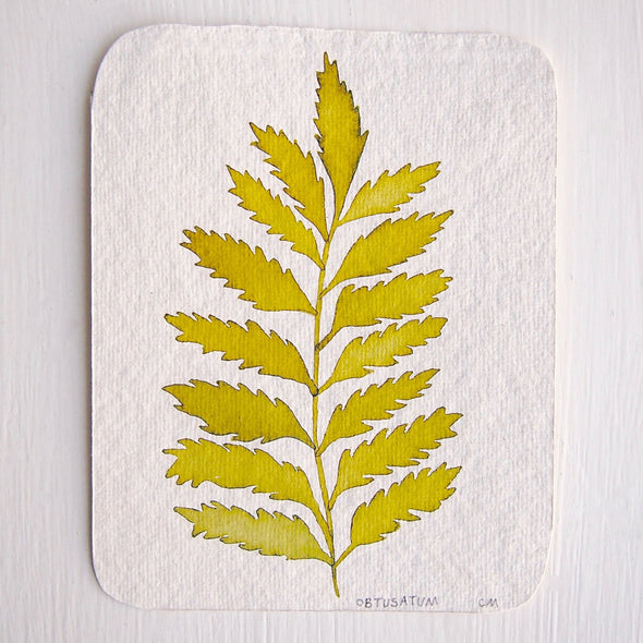 Original watercolour plant leaf paintings