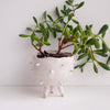white spiky tripod planter