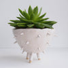 Handmade white ceramic spiky cactus planter