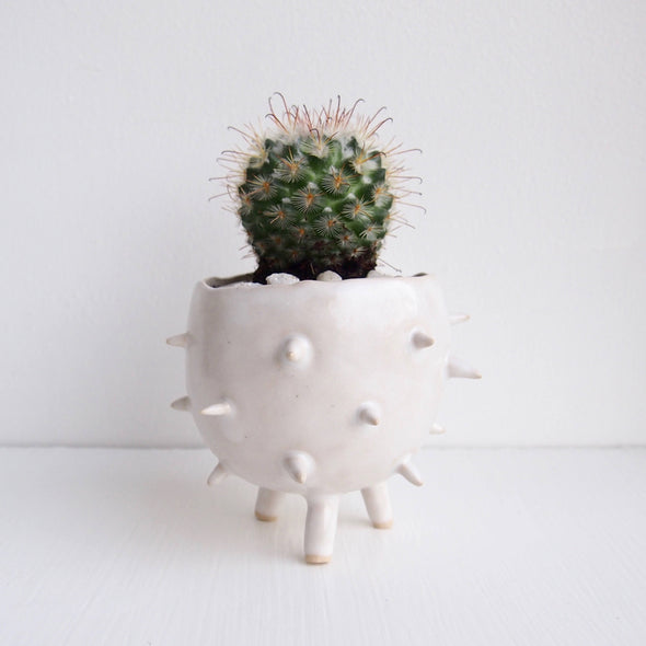 pottery tripod planter with cactus