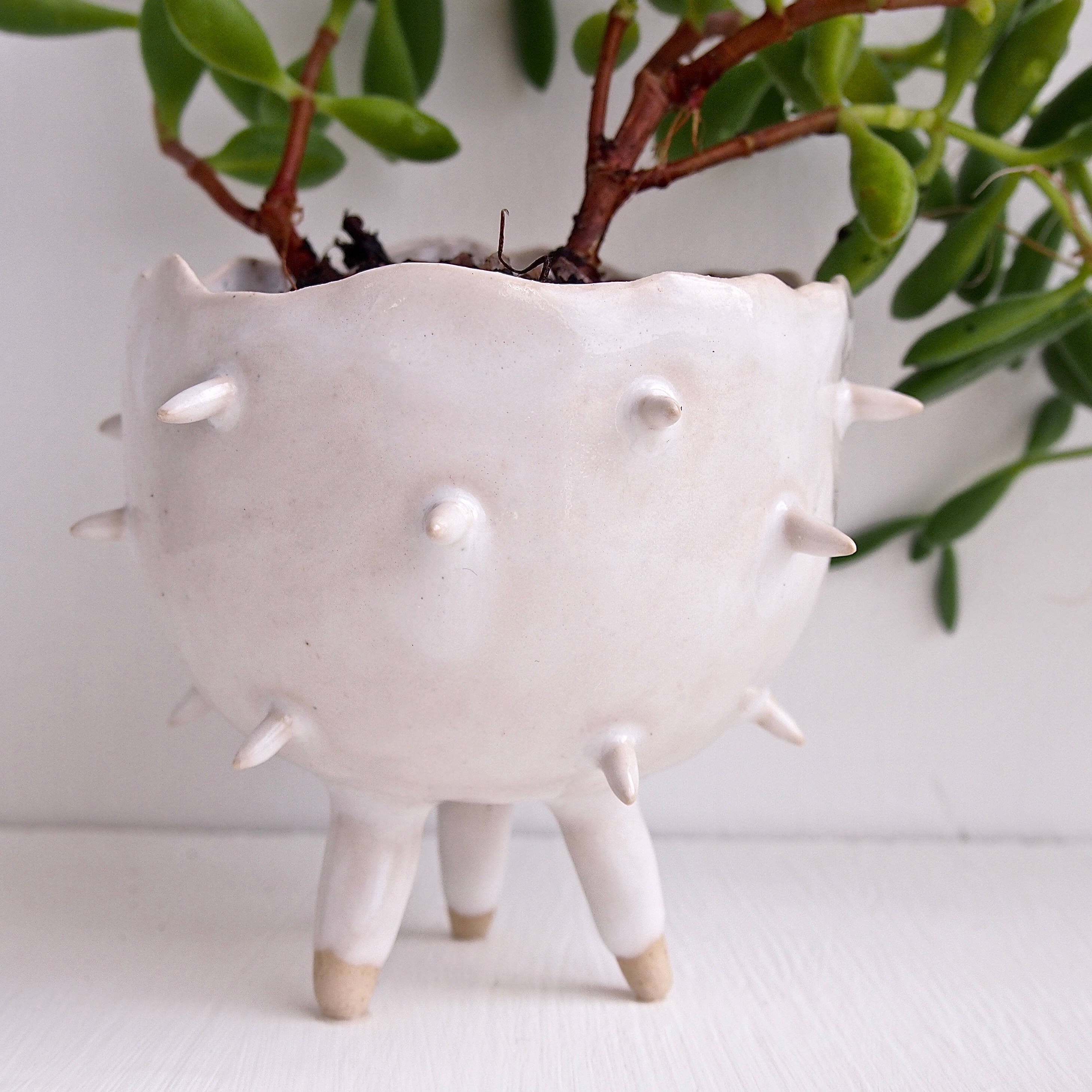 spiky plant pot Handmade white spiky tripod cactus planter – Kabinshop