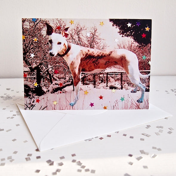 Whippet greyhound dog christmas card