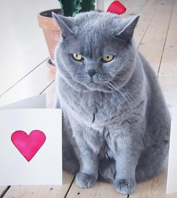 Single heart card with cat