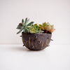 Handmade spiky gold black  ceramic planter bowl